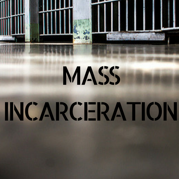Mass Incarceration Project