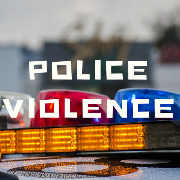 Police Violence Project