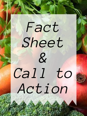 Link to Food Insecurity Fact Sheet and Call to Action