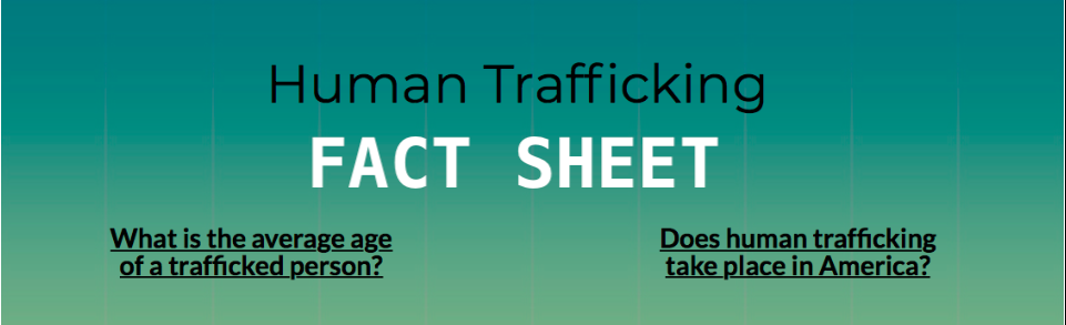 Human Trafficking Fact Sheet Link