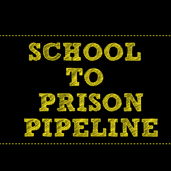 School to Prison Pipeline Project