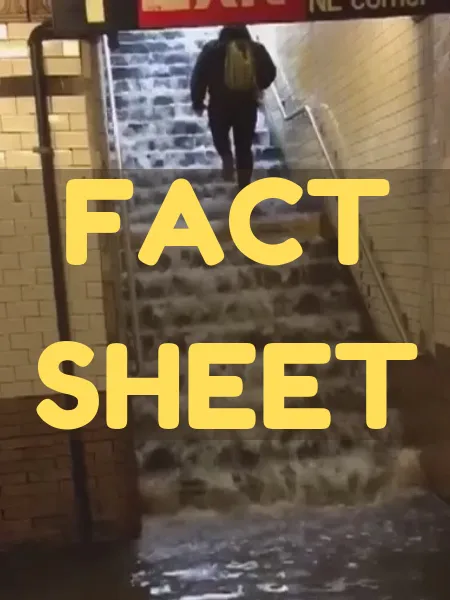 Fact Sheet