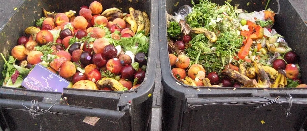 Food waste in bins