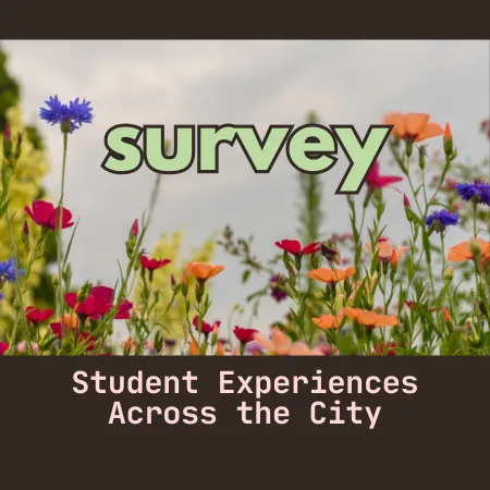 Survey