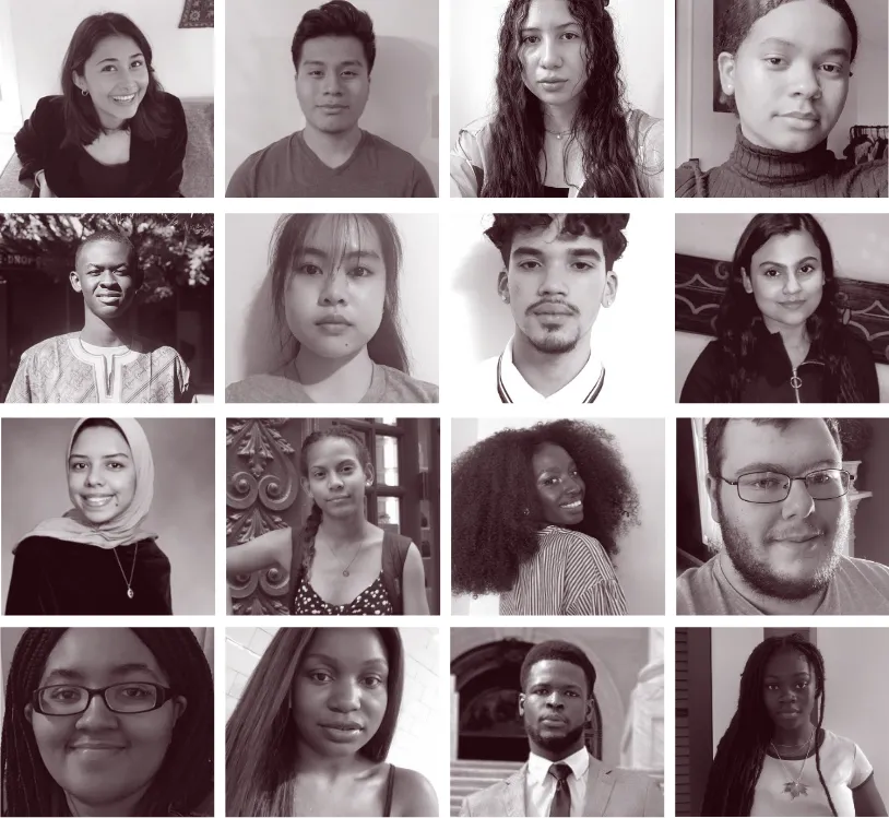 Grid of sixteen images of fellows