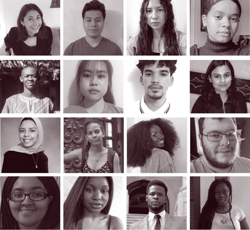 Grid of sixteen images of fellows
