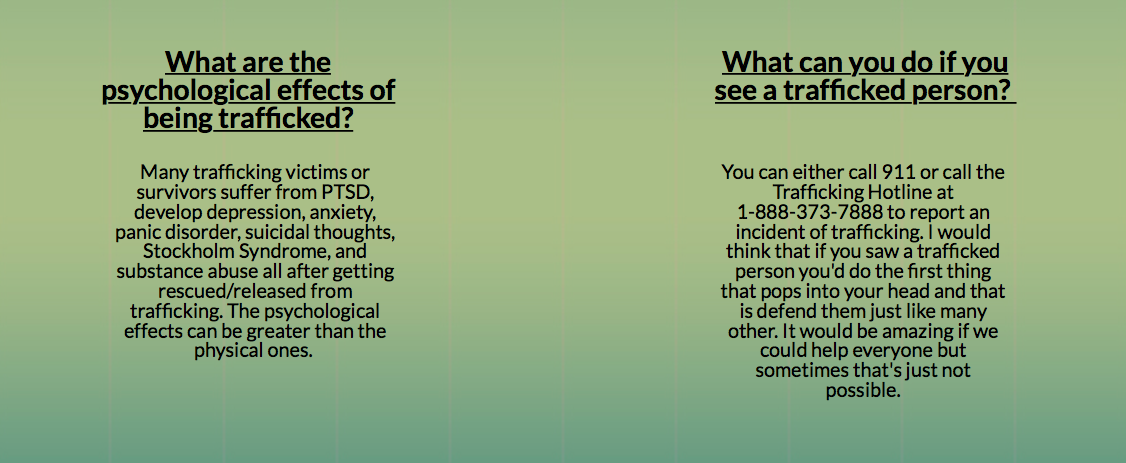 Human Trafficking Group Fact Sheet 4