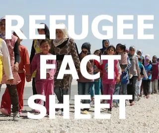 Fact Sheet