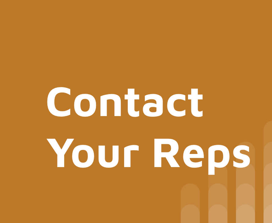 contact